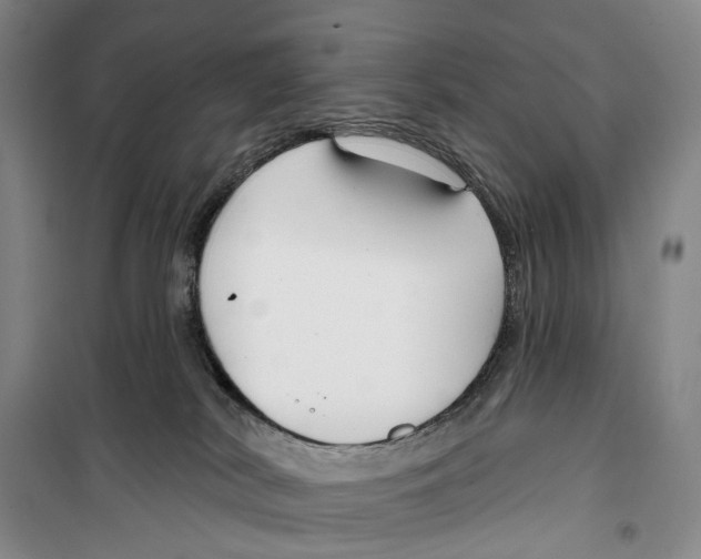 X0000099440038200805301500