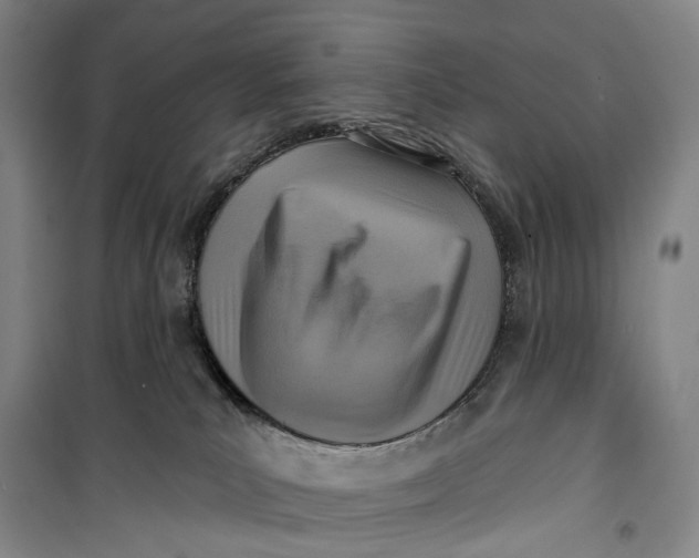 X0000099440039200805301500