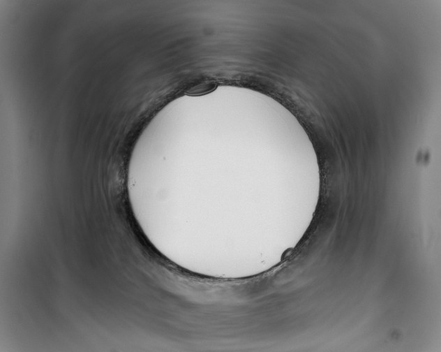 X0000099440040200805301500