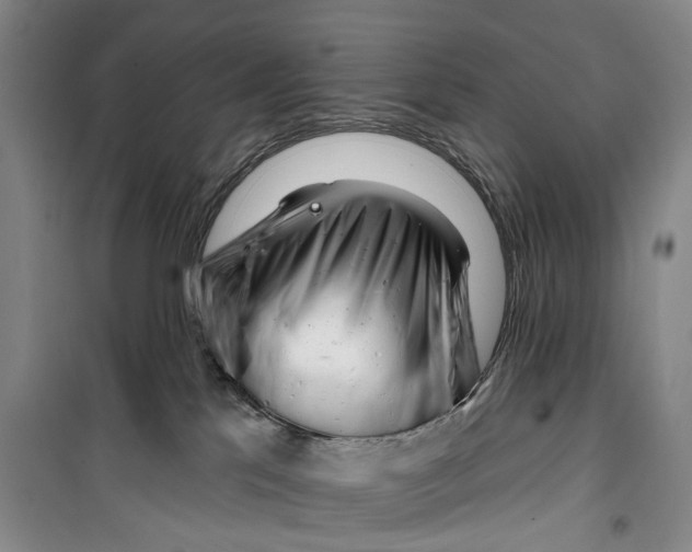 X0000099440041200805301500