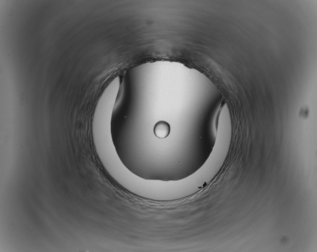 X0000099440043200805301500