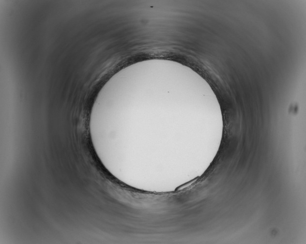 X0000099440044200805301500