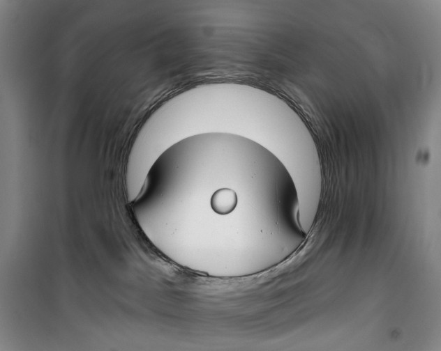 X0000099440045200805301500