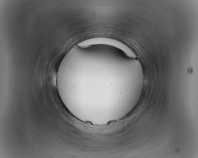 X0000099440046200805301500