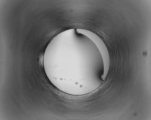 X0000099440047200805301500