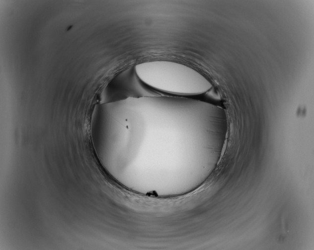 X0000099440048200805301500