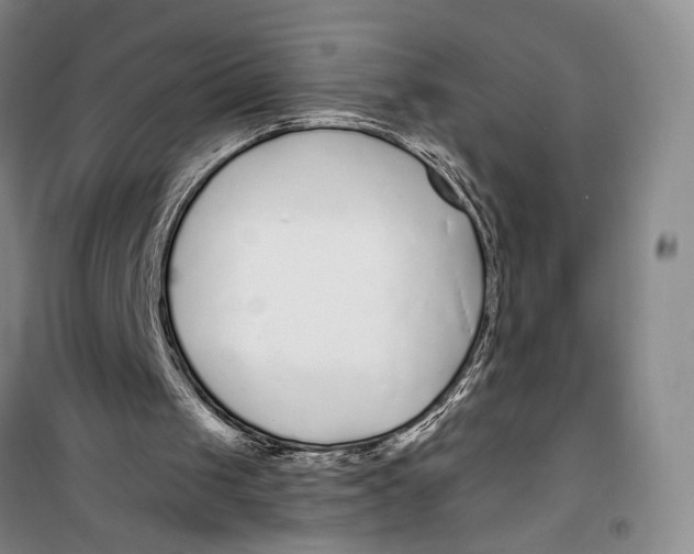 X0000099440049200805301500