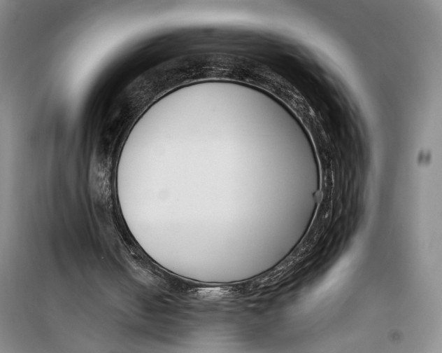 X0000099440050200805301500