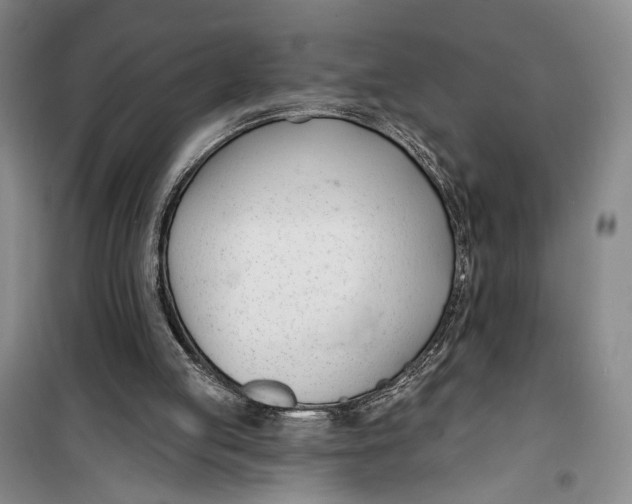 X0000099440053200805301500