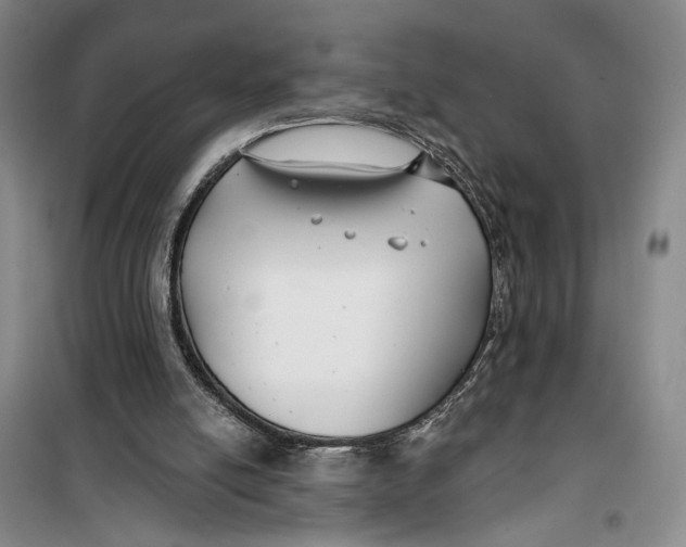 X0000099440054200805301500