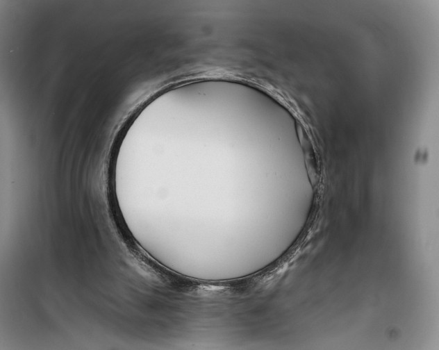 X0000099440055200805301500