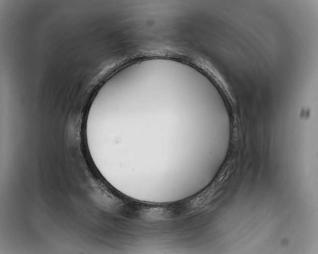 X0000099440058200805301500