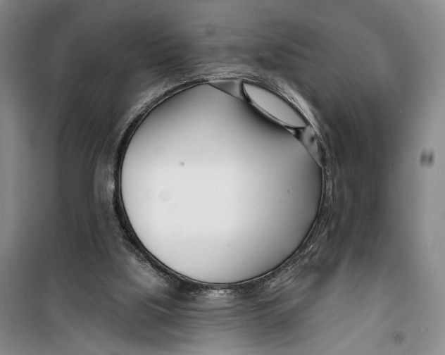 X0000099440059200805301500