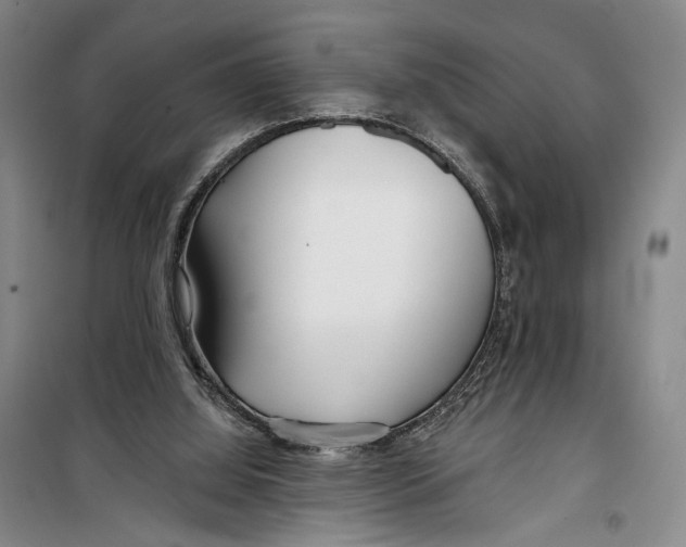 X0000099440060200805301500