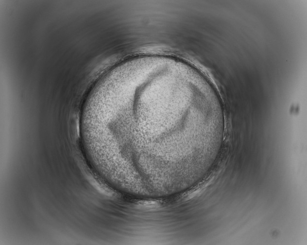 X0000099440061200805301500