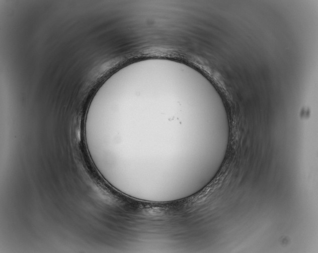 X0000099440062200805301500