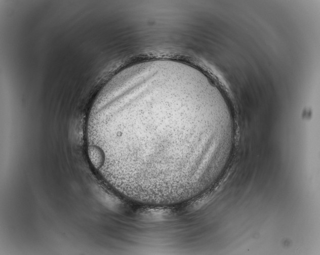 X0000099440065200805301500