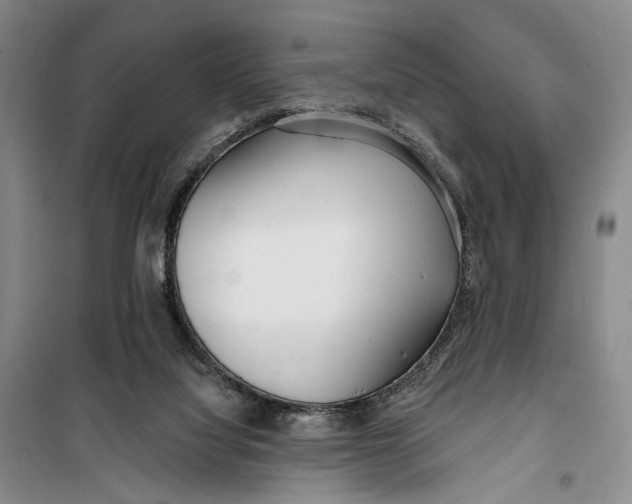 X0000099440068200805301500