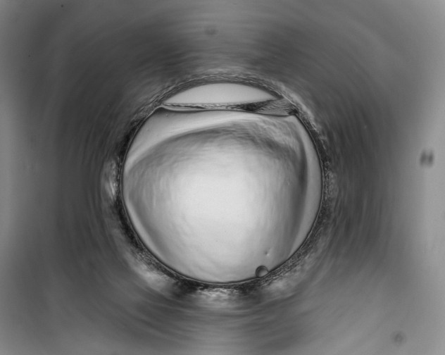 X0000099440069200805301500