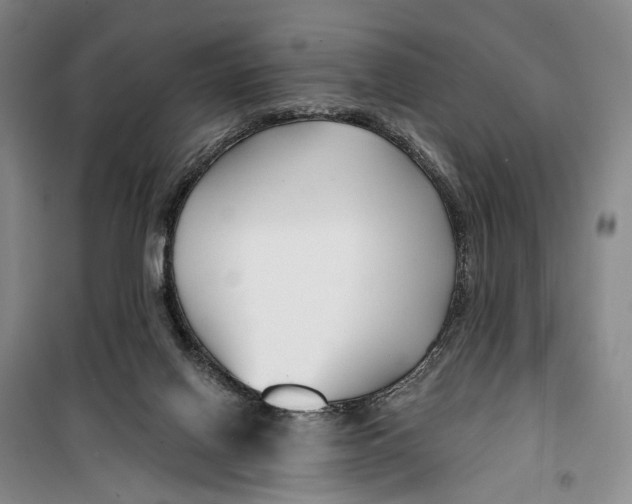 X0000099440070200805301500