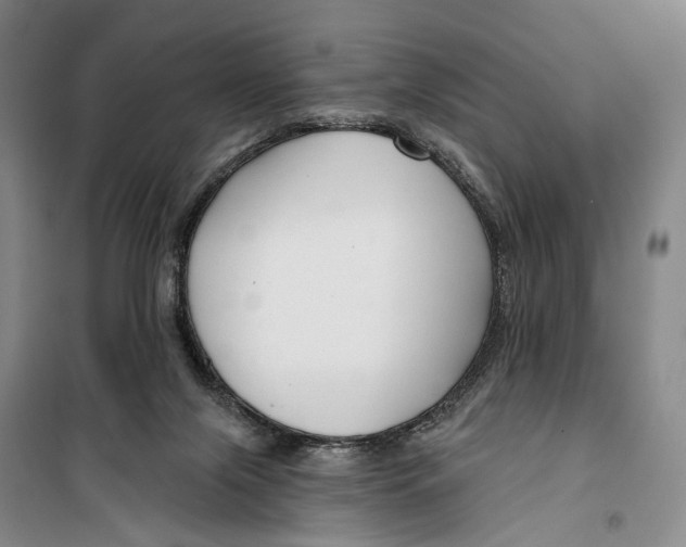 X0000099440071200805301500