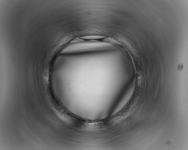 X0000099440072200805301500