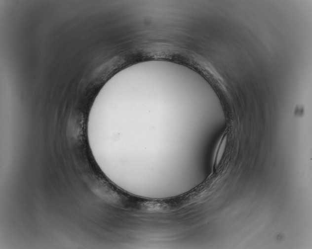 X0000099440073200805301500