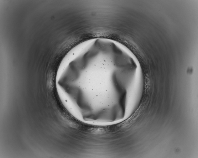 X0000099440074200805301500