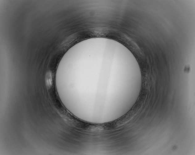 X0000099440075200805301500