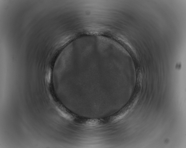 X0000099440076200805301500