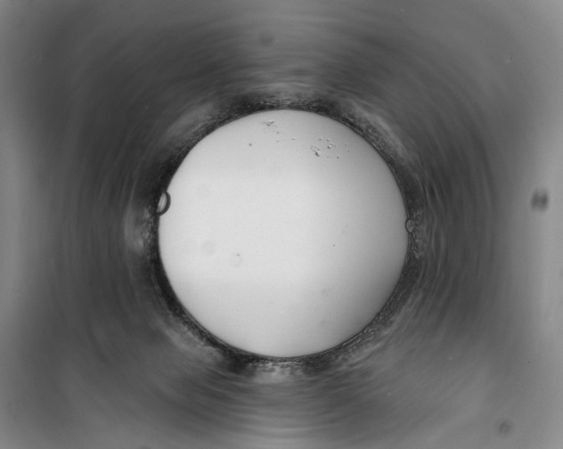 X0000099440077200805301500