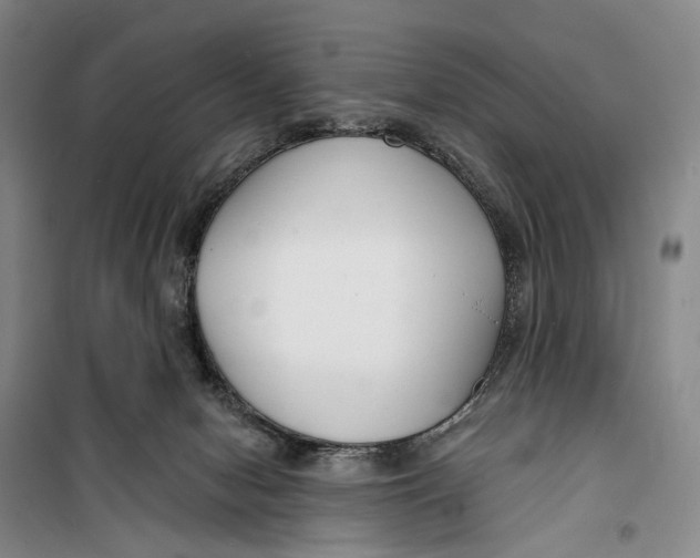 X0000099440078200805301500