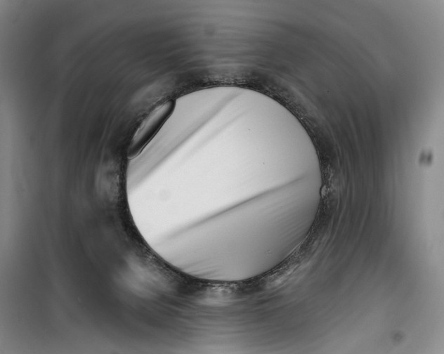 X0000099440080200805301500