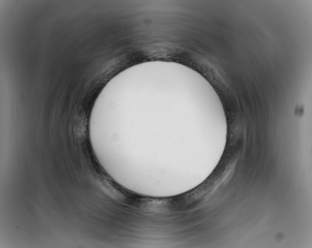 X0000099440081200805301500