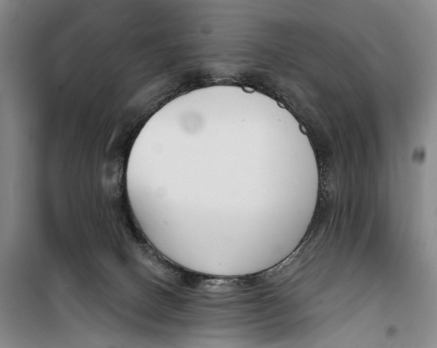 X0000099440082200805301500