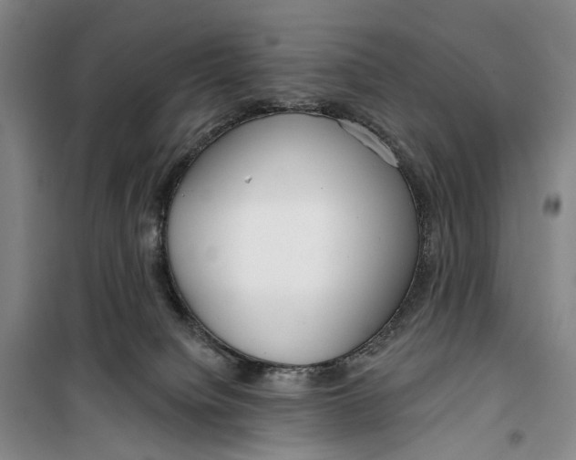 X0000099440084200805301500