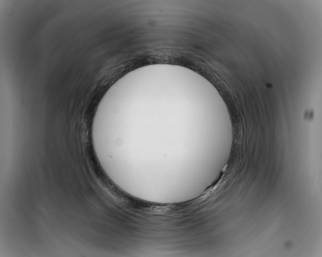 X0000099440086200805301500