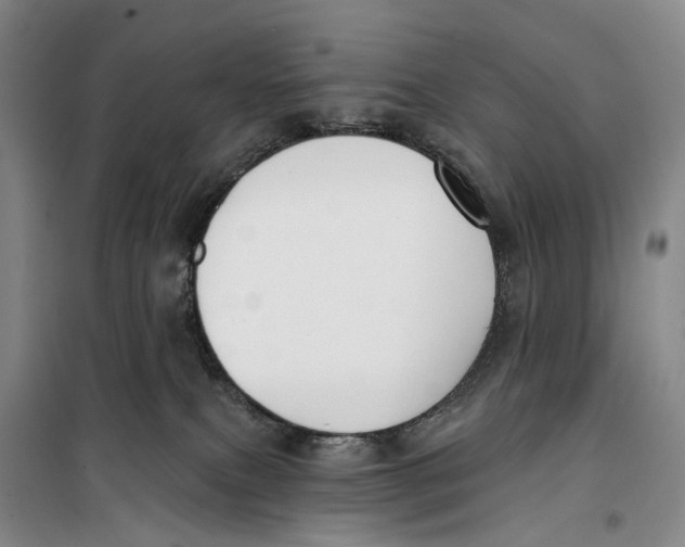 X0000099440087200805301500