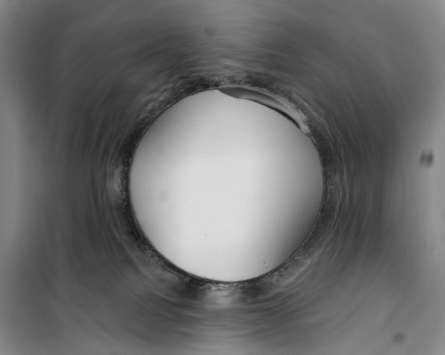 X0000099440088200805301500