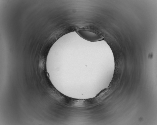 X0000099440090200805301500