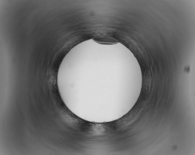 X0000099440091200805301500