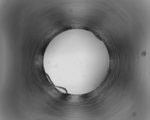 X0000099440093200805301500