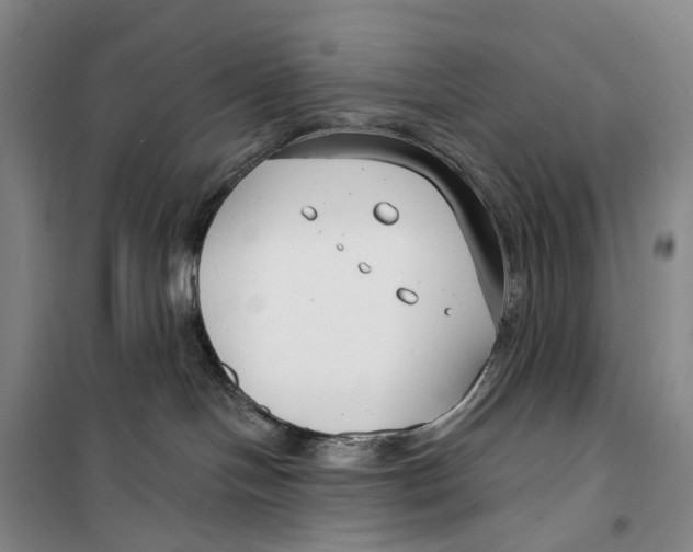 X0000099440094200805301500