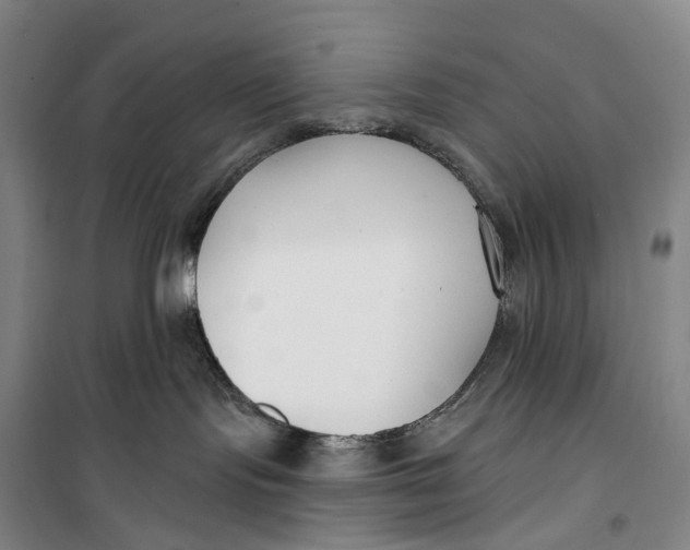 X0000099440095200805301500