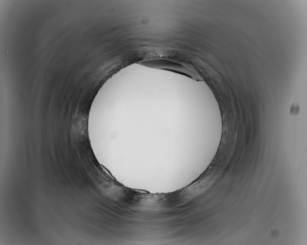 X0000099440096200805301500