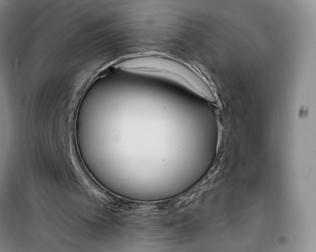 X0000099440097200805301500