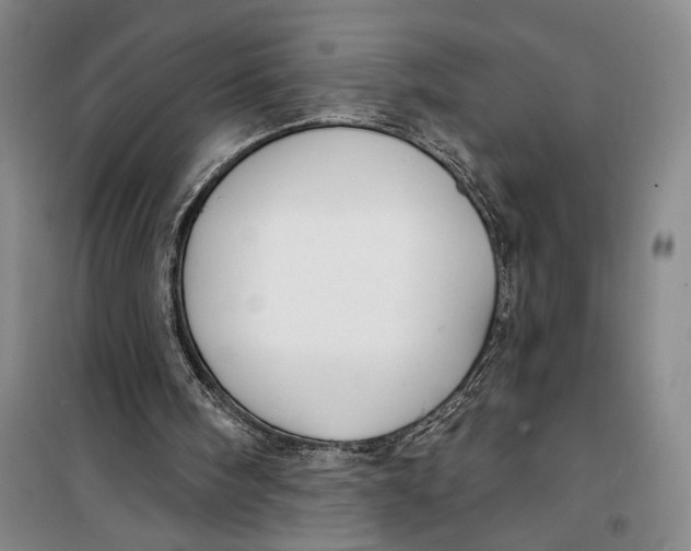 X0000099440098200805301500