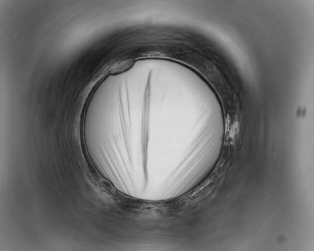 X0000099440099200805301500