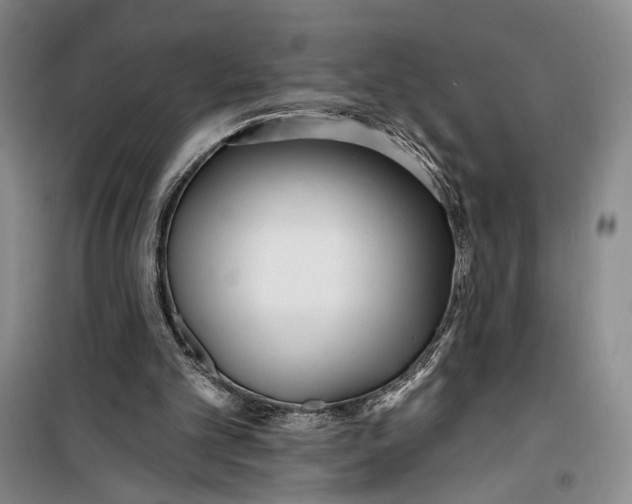 X0000099440101200805301500