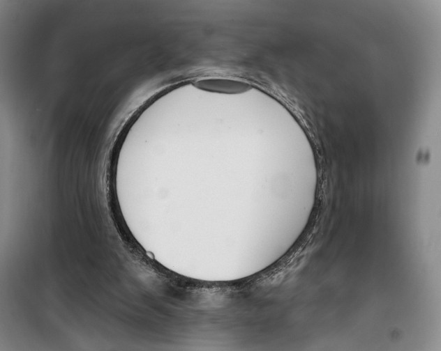 X0000099440103200805301459